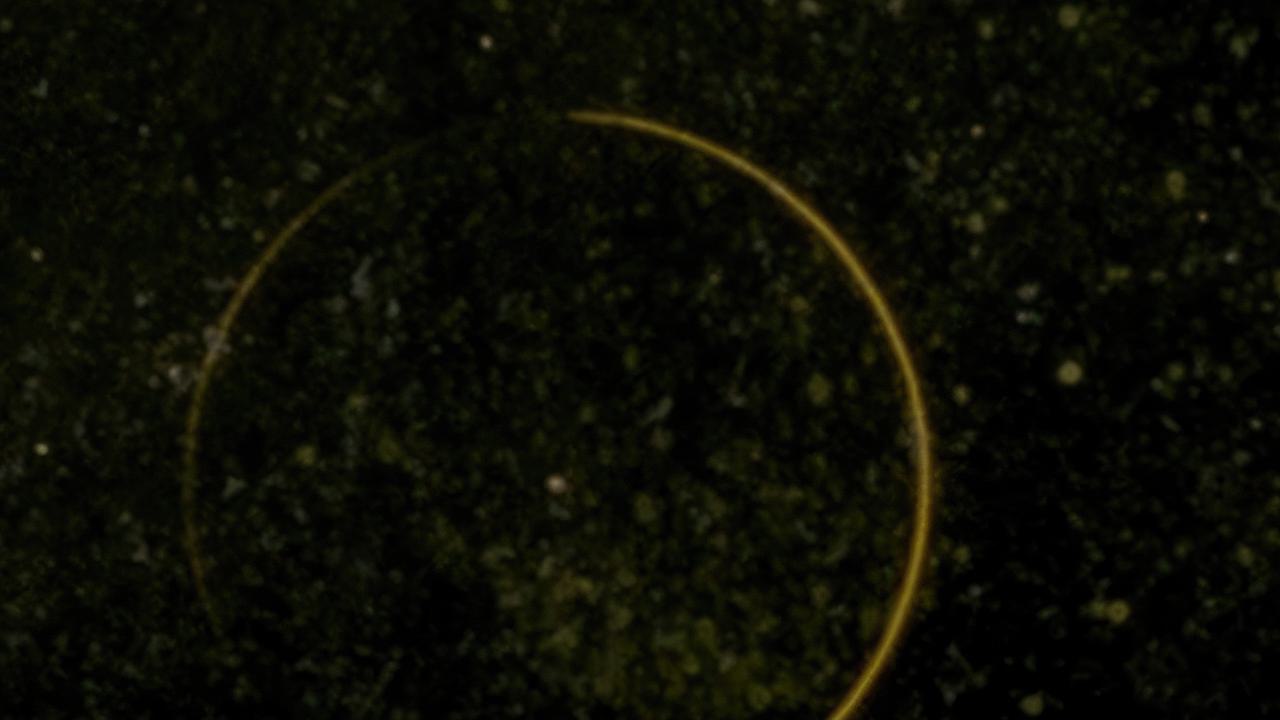 Idle Governor by Horatio C. Forjohn