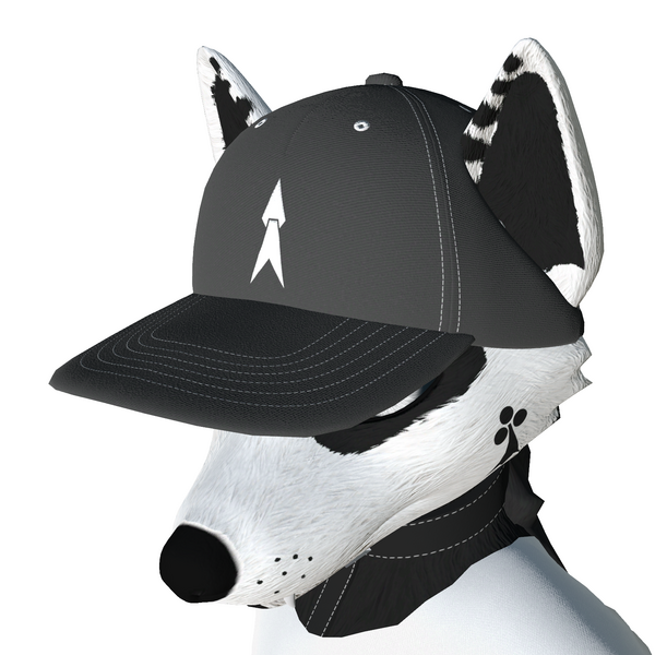 The Snapback