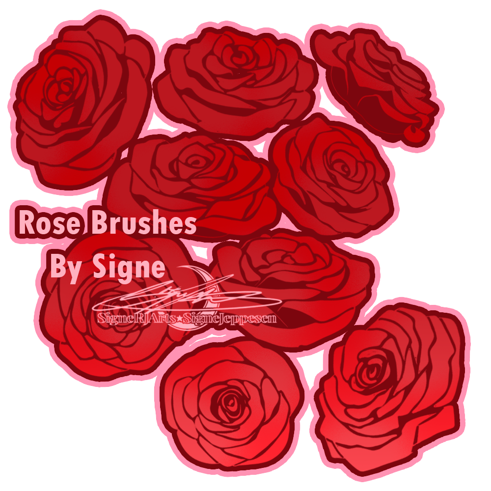 Rose Brushes by Signe