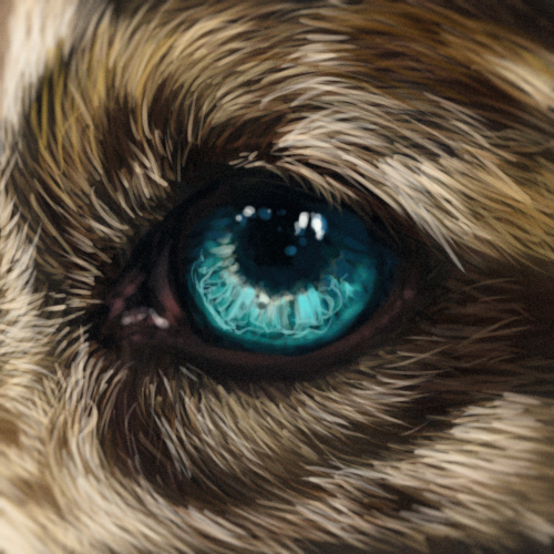 Eye Icon PSD