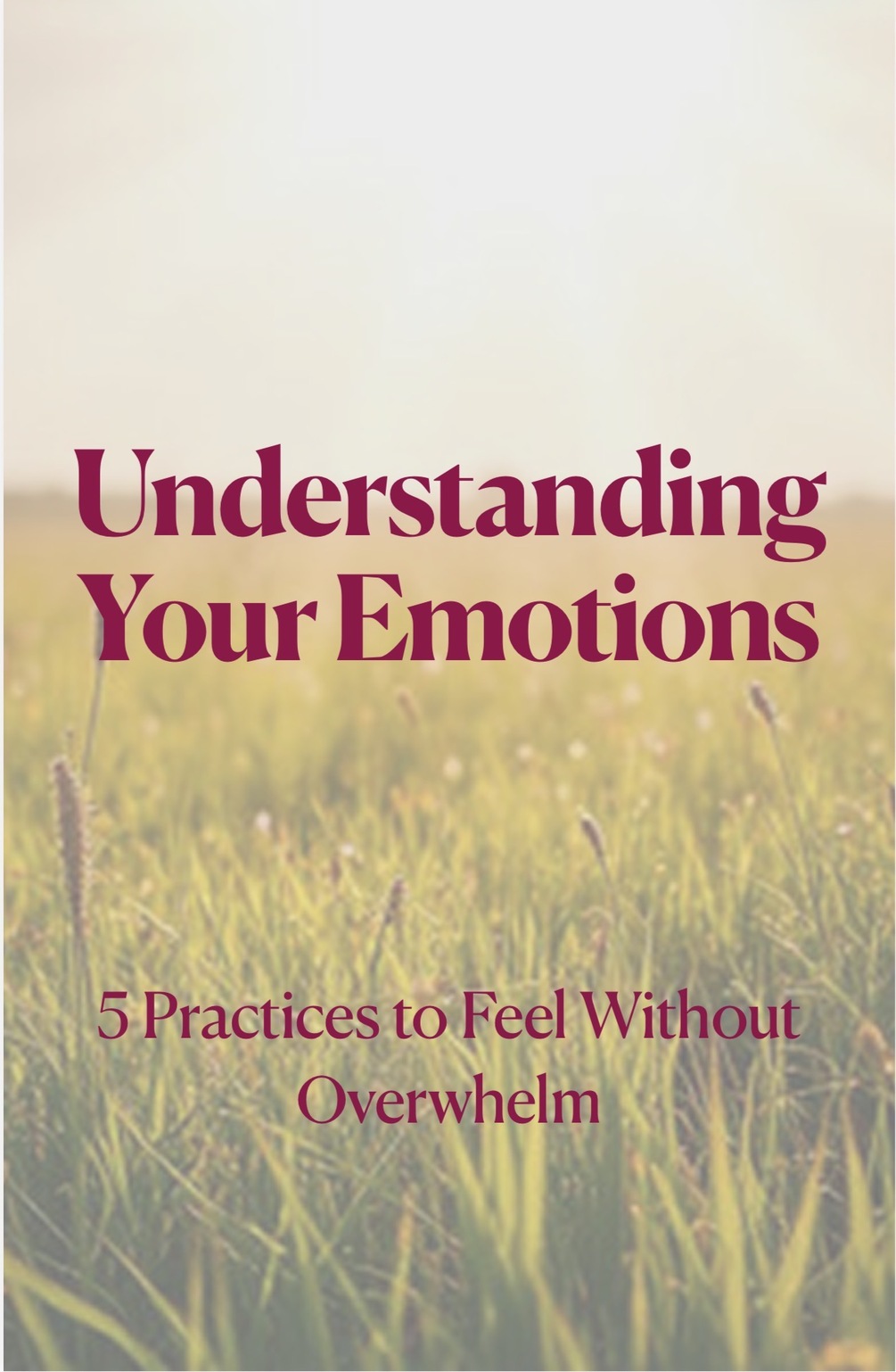 Understanding Your Emotions Workbook Preview
