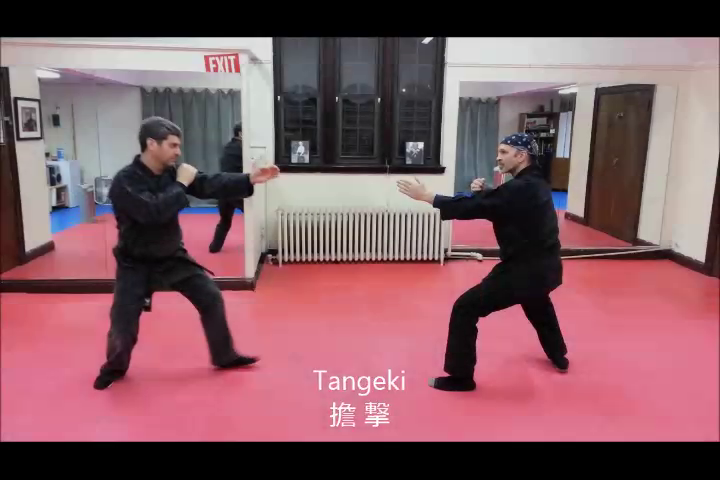 Koto Ryu Koppojutsu Shoden henka - Joe Maurantonio