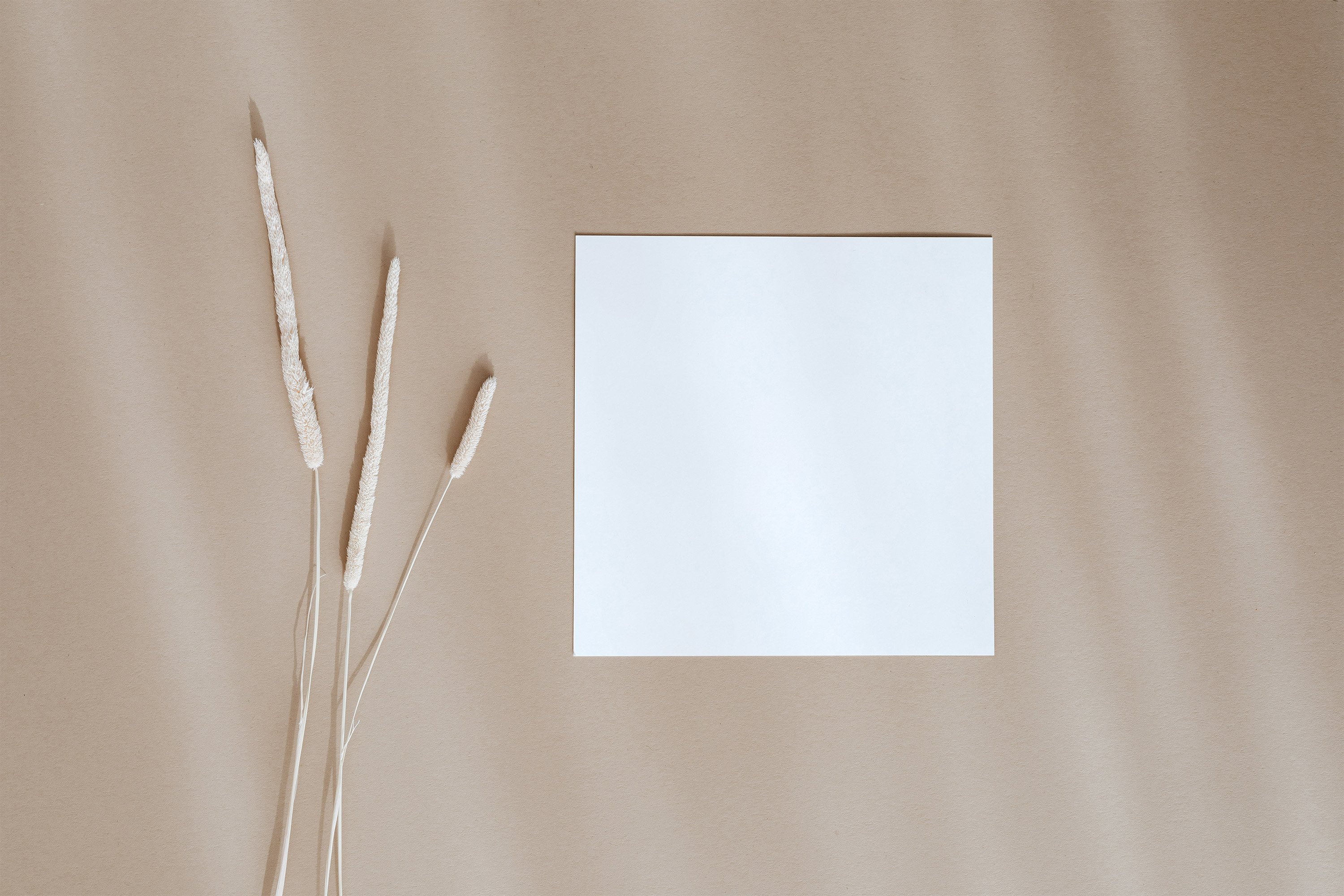 Free Square Business Card Mockup Mo.25