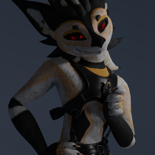 Nardoragon Pony Harness