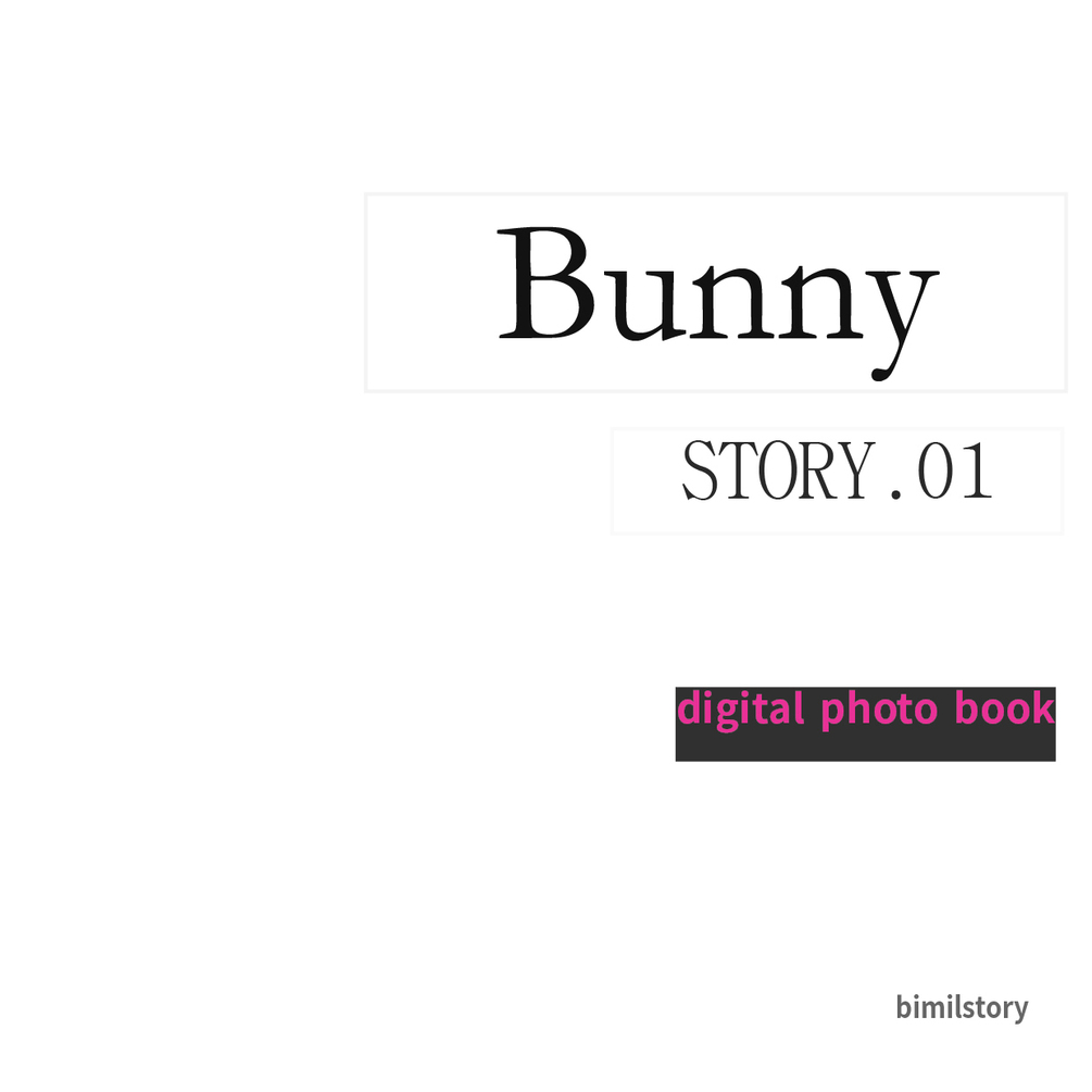 Bunny Vol.01