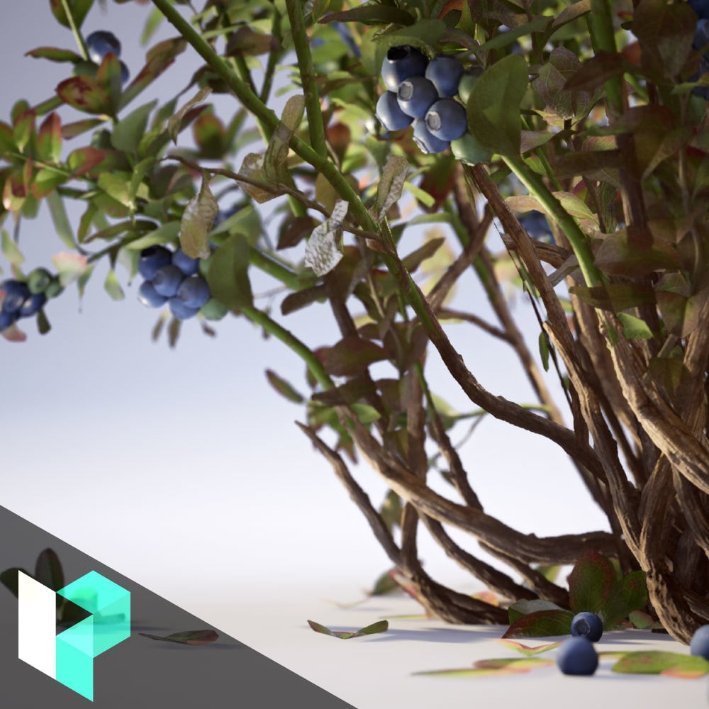 Creating Game-Ready Vegetation