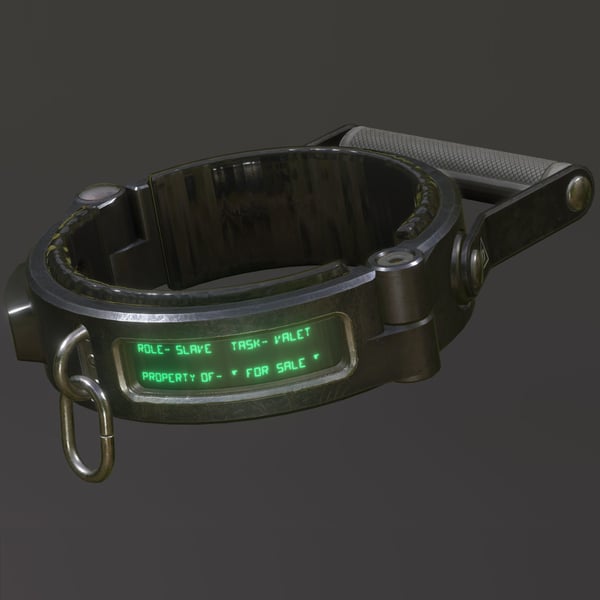 Labeled Collar w/ Detachable Handle Bar