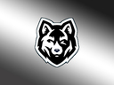 Gumroad profile picture for @fallow