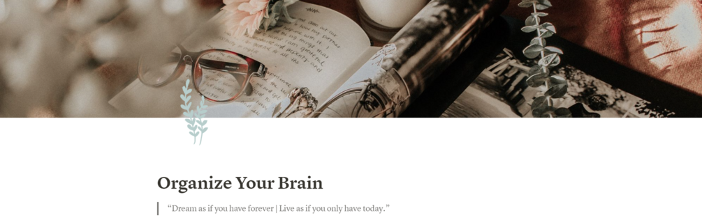 Organize Your Brain Notion Template