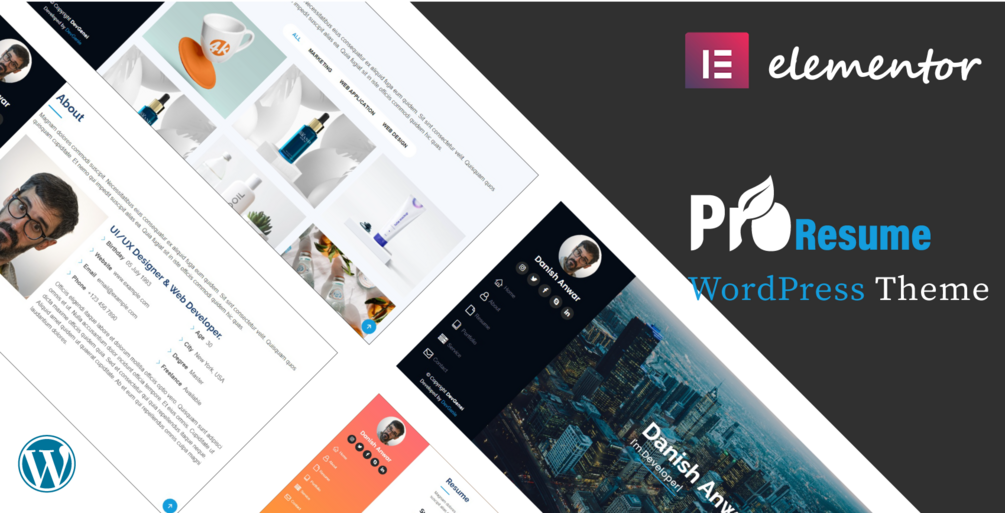 ProResume WordPress CV/Resume Theme by DevGenie