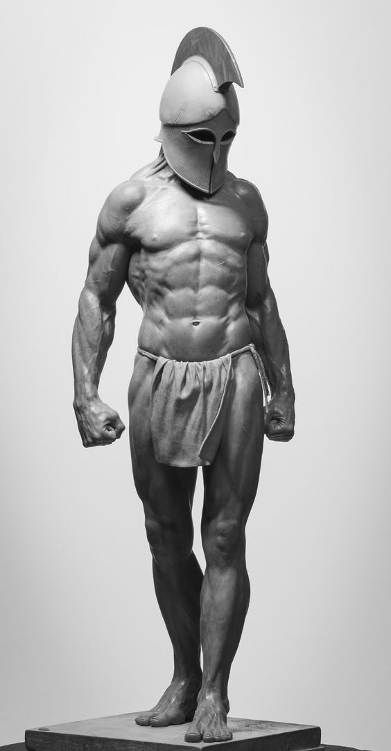muscle-building-workout-plan
