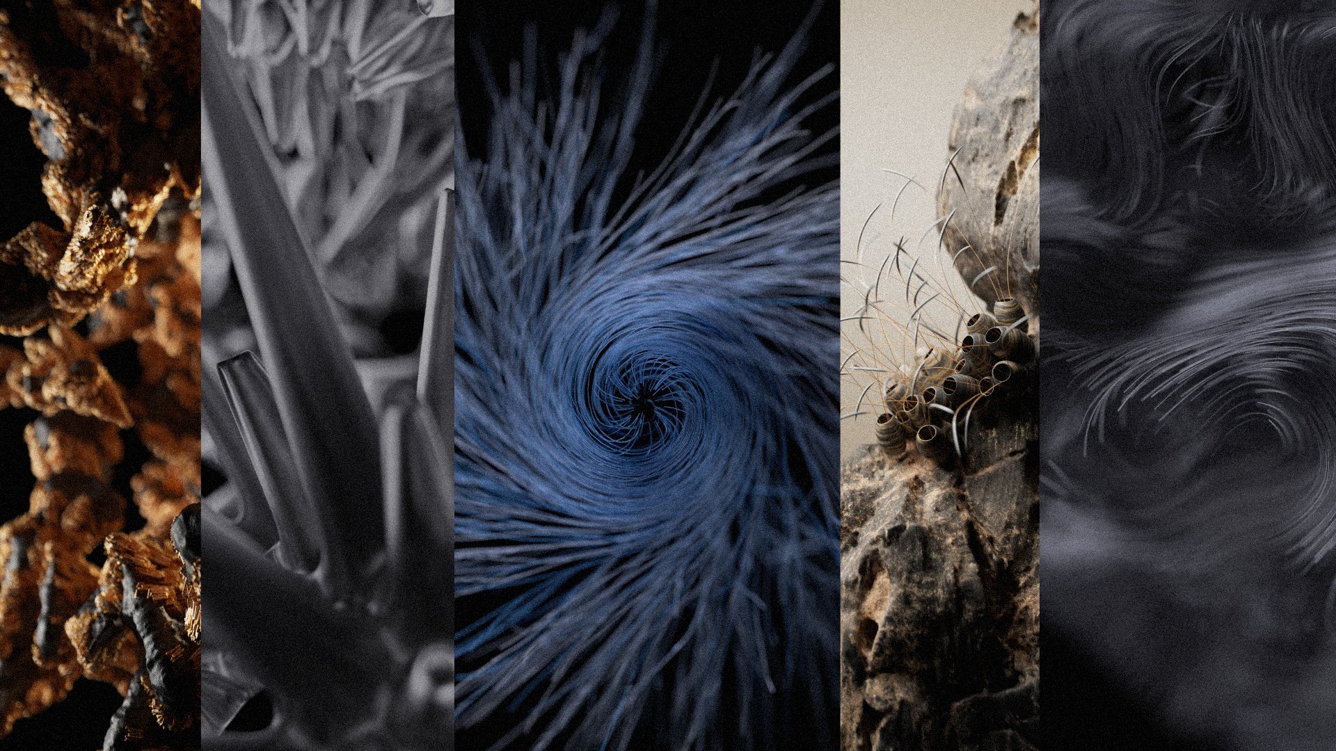 Timj Course Bundle Timj