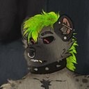 Gumroad profile picture for @nitch