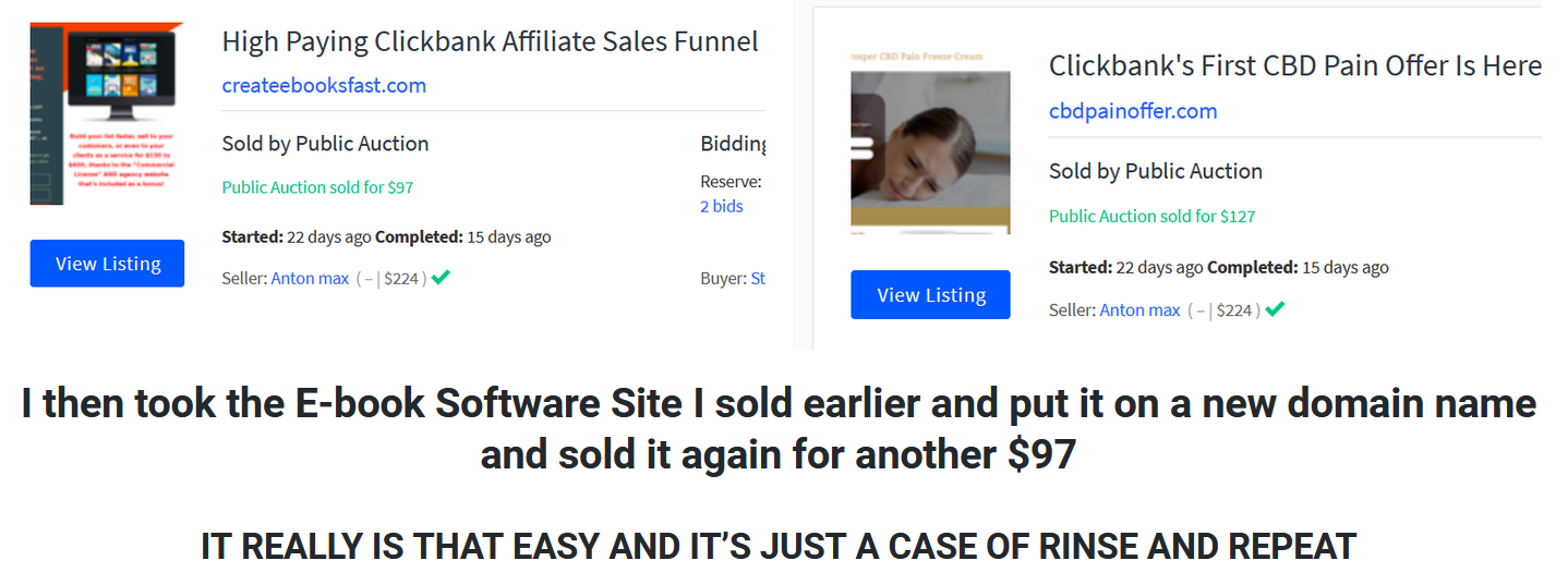 Auction Flipping Success