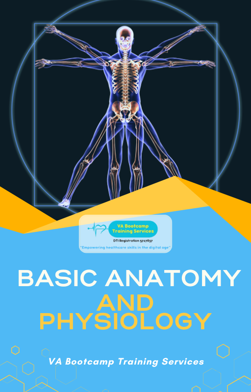 Basic Anatomy and Physiology (Ebook)