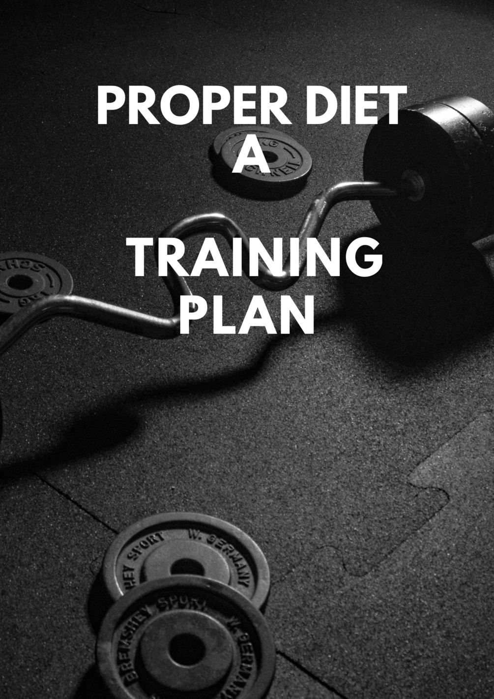 proper-diet-and-training-plan