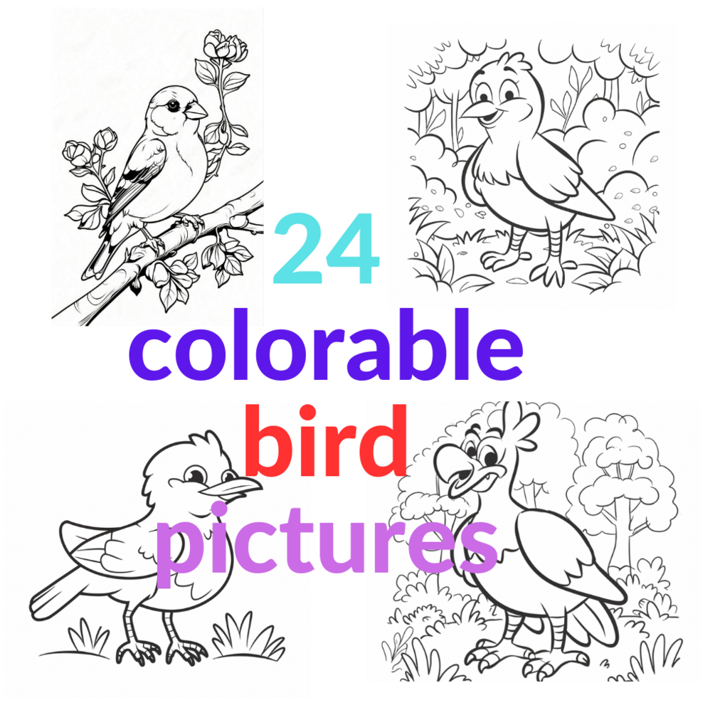 24 colorable bird pictures-coloring book for kids