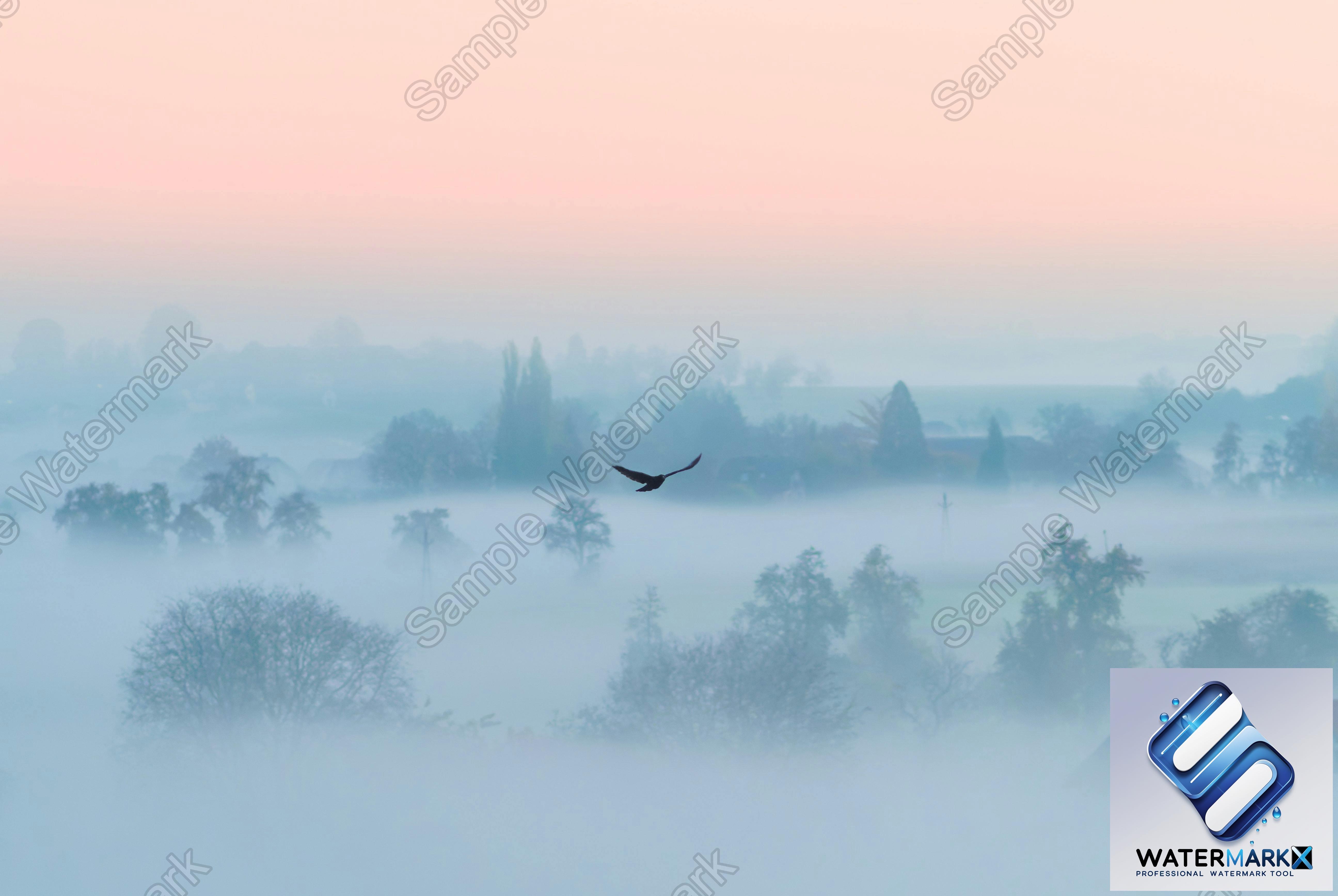 Logo Overlay Preview