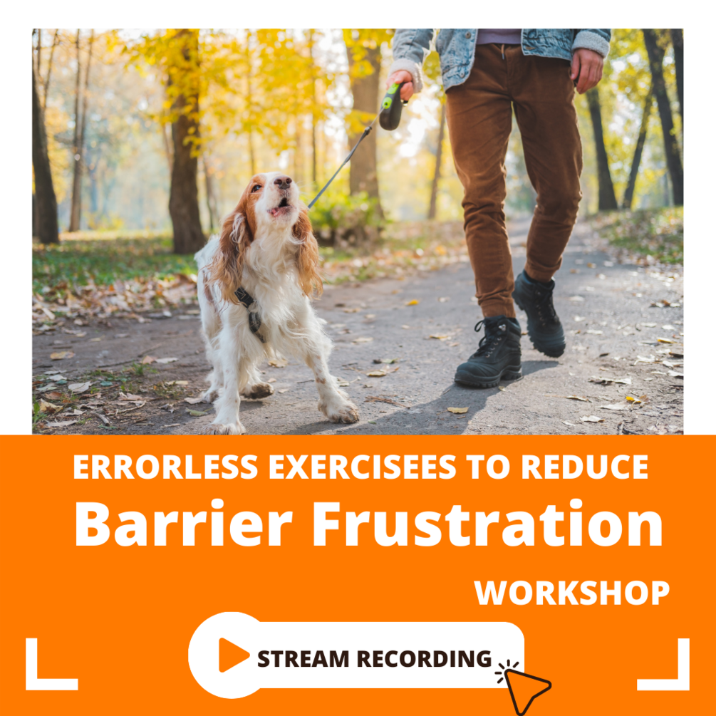 Errorless Strategies to Reduce Barrier Frustration (Introductory)