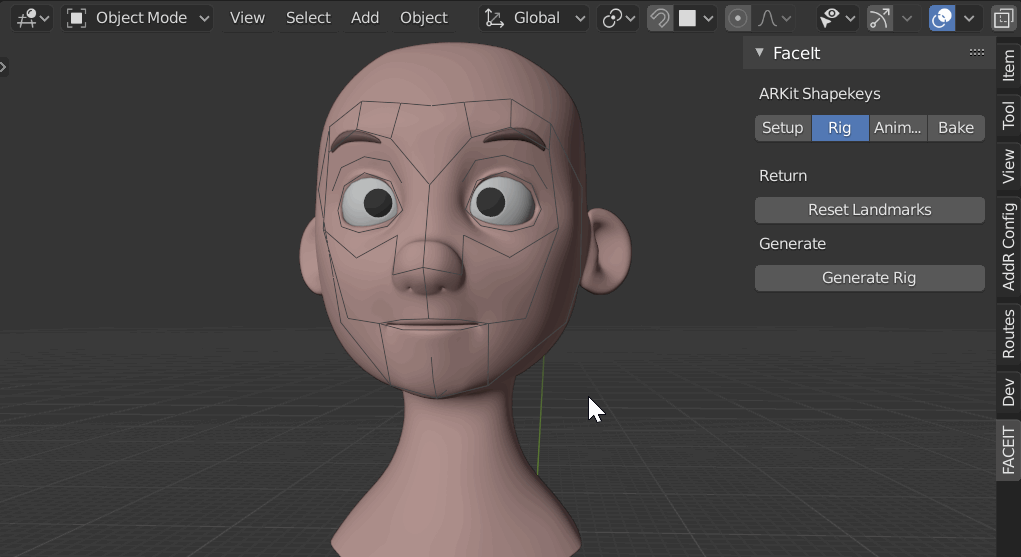 Faceit Facial Expressions and Performance Capture