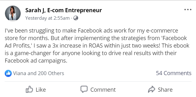 Facebook Ad Profits: Maximize Your ROAS And Dominate Your Market