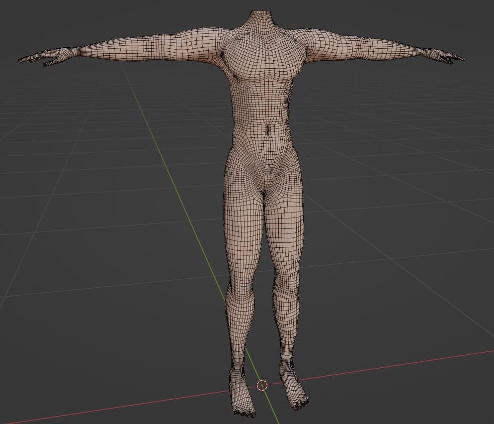 Male & Female Body Base - 3D Asset