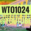 Gumroad profile picture for @wto