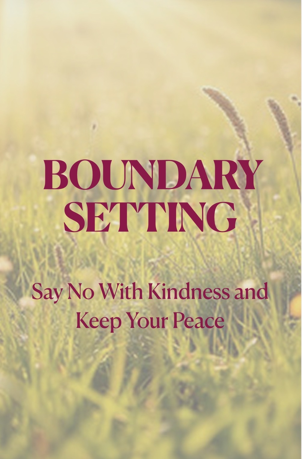 Boundary Setting Guide Preview