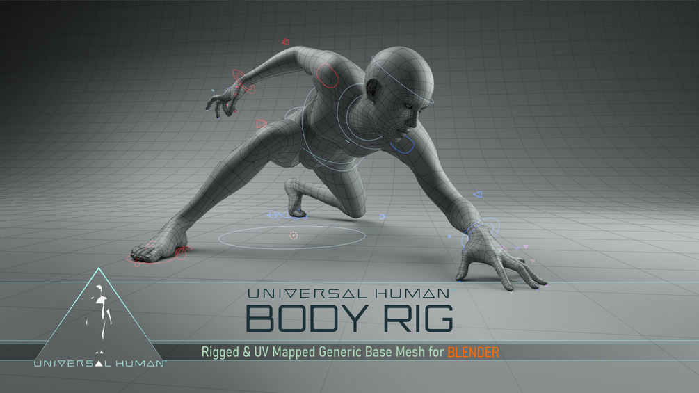 Diplomat æggelederne guiden Universal Human Body Rig