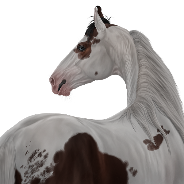 Horse brushes for tobiano markings by QueenOfSin