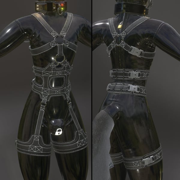 Canis Woof Leather Harness