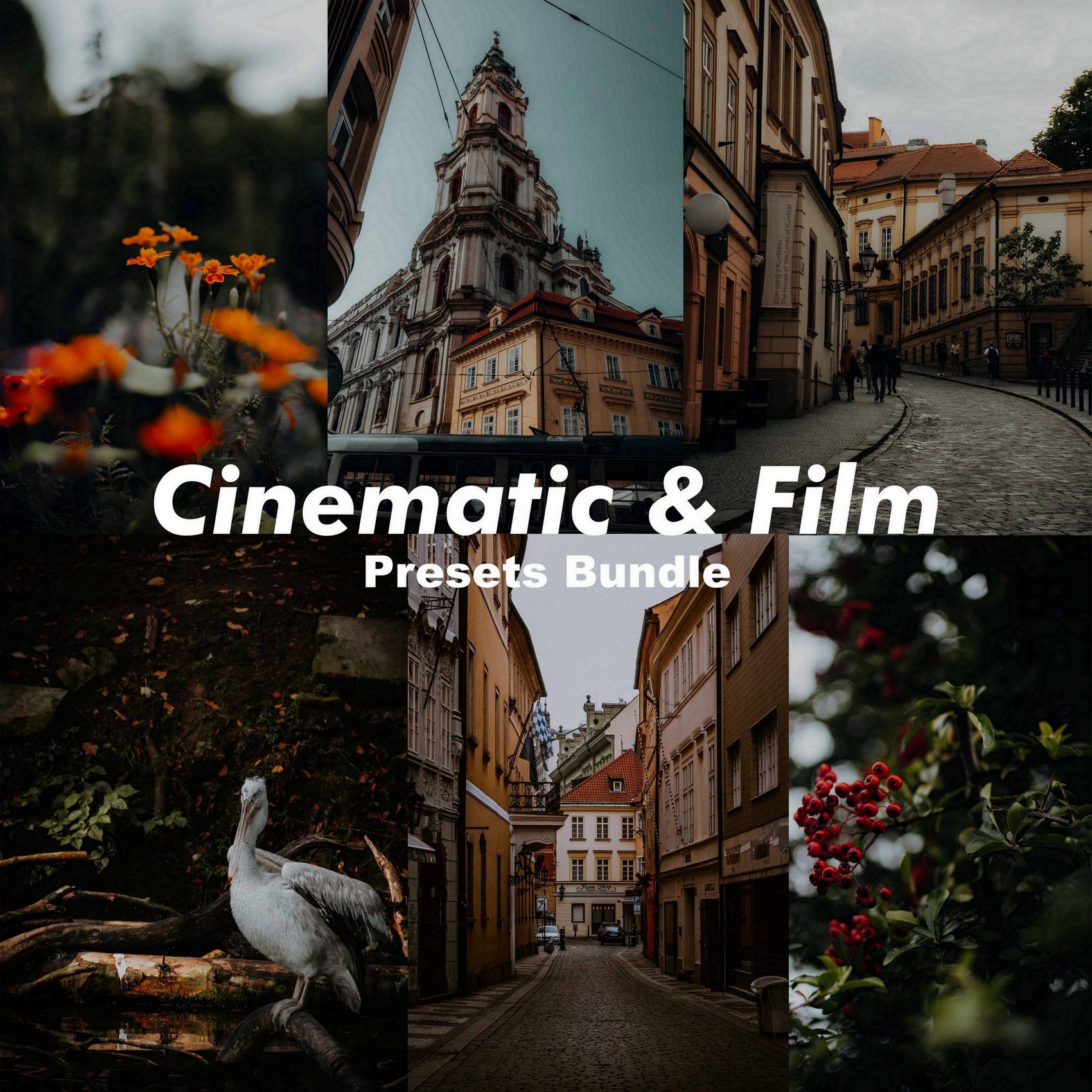 15 Lightroom Presets Pack - The Cinematic & Film Collection - Presetum