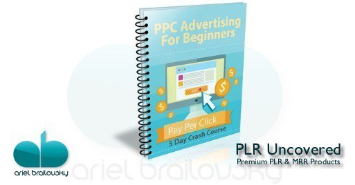 PPC Ads for Beginners