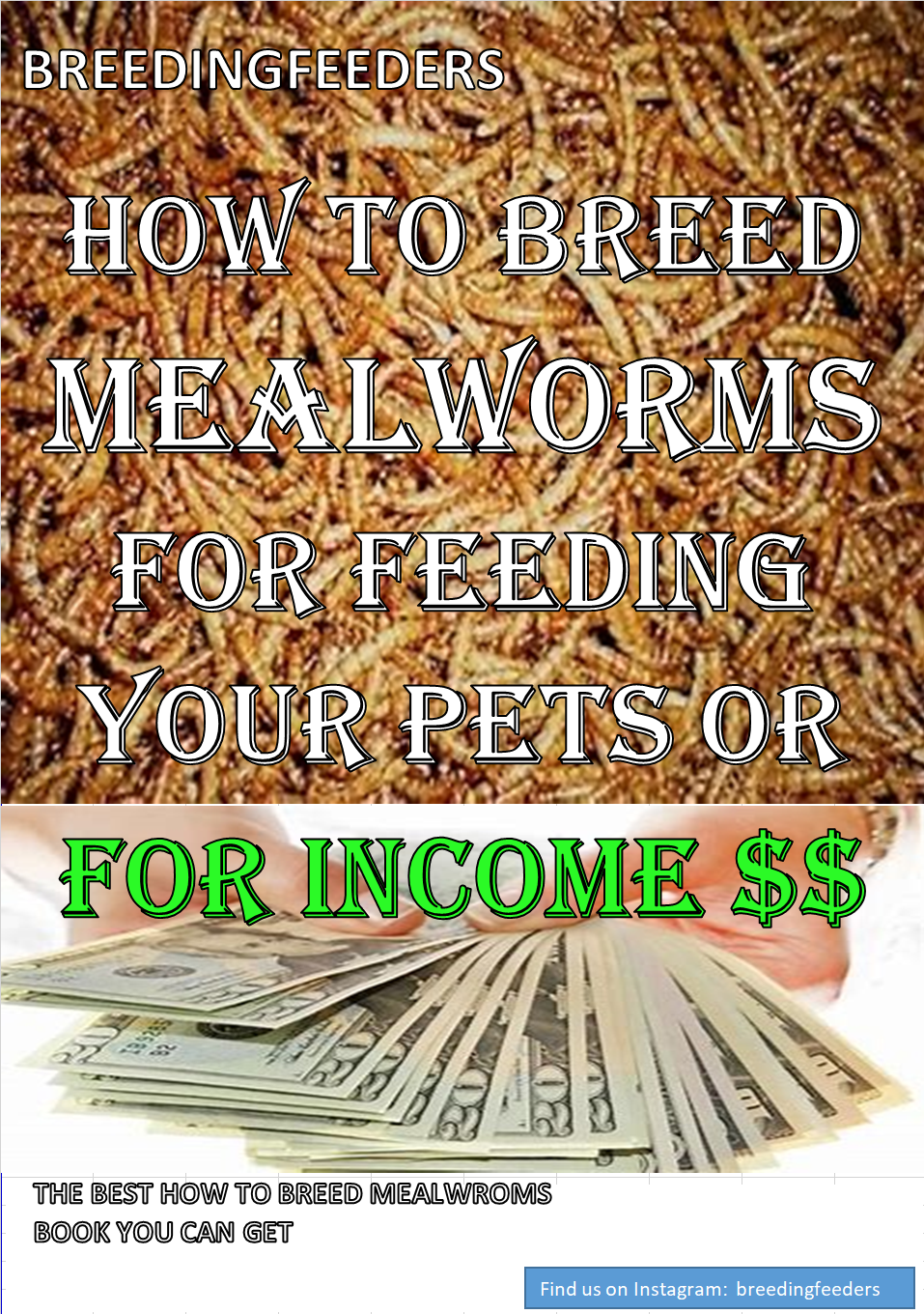 How to Breed Mealworms for Feeding Your Pet or For