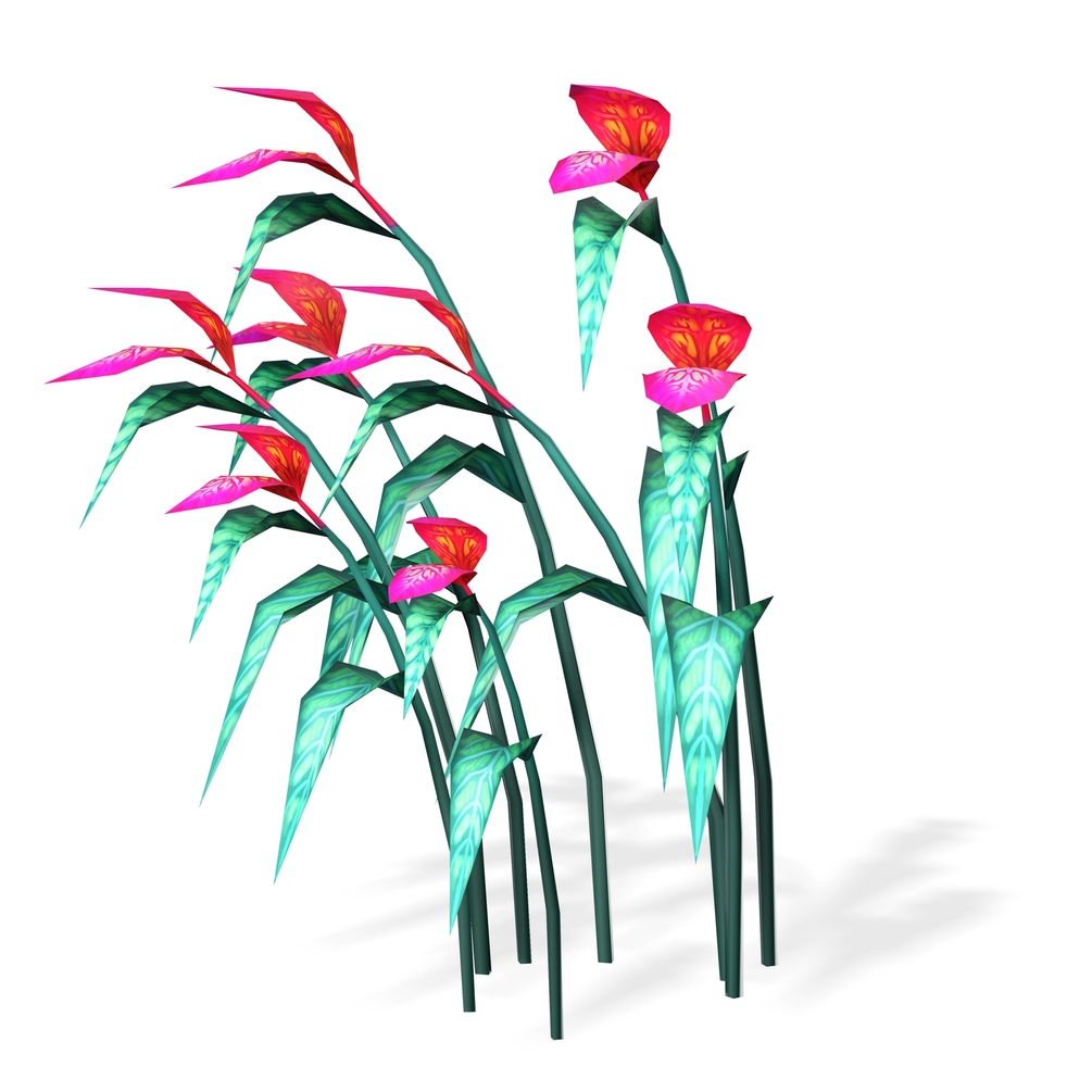 Orchid flower sunflower plant garden furniture fores 11t nature fruit