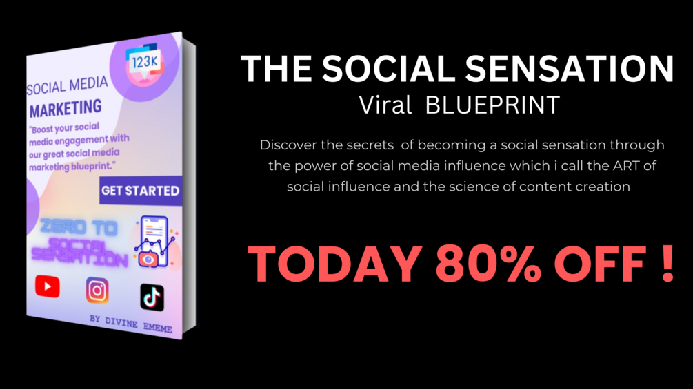 THE ART/SECRET OF SOCIAL MEDIA INFLUENCERS, ZERO TO SOCIAL SENSATION IN(00)
