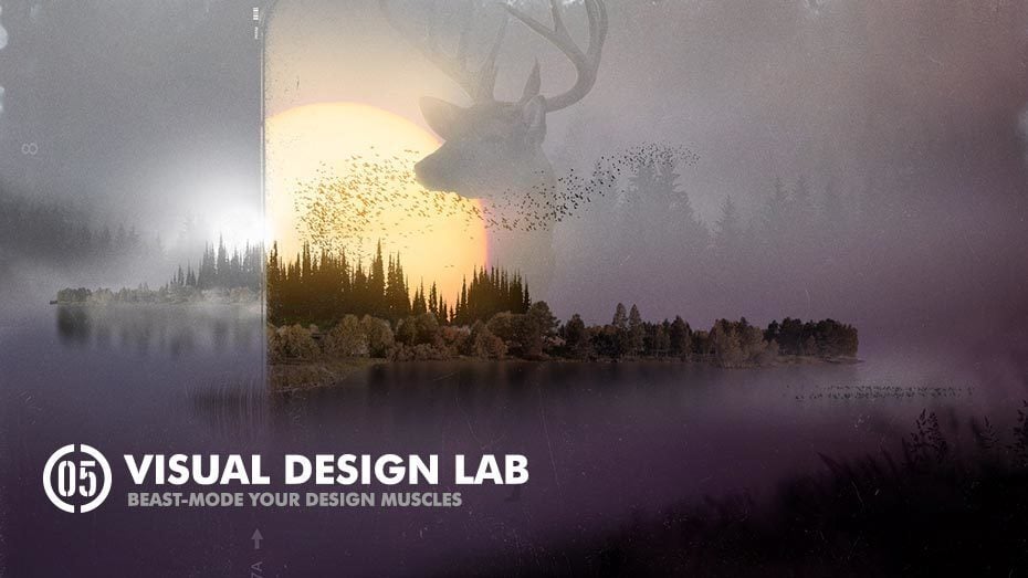 Design　Visual　Lab