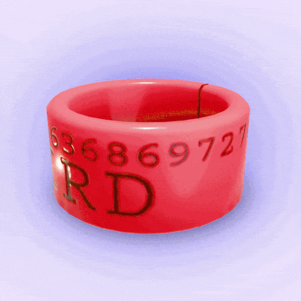 Customizeable Bird Band (PC/Quest)