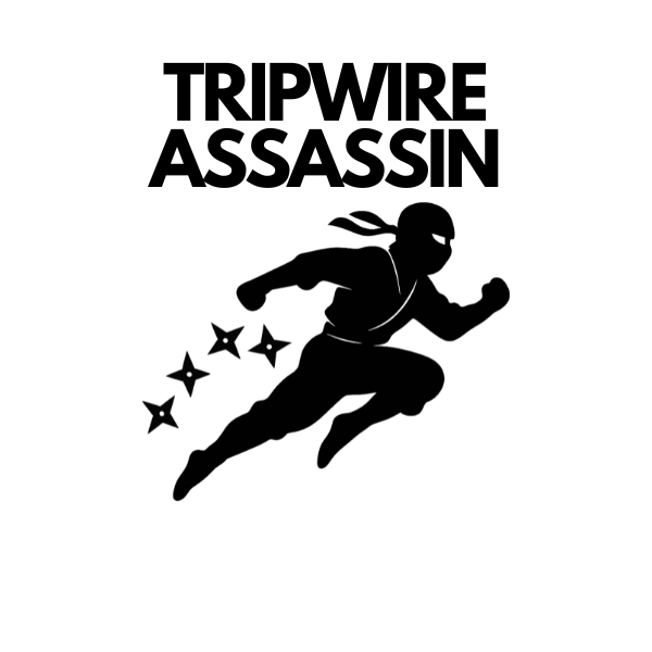 Tripwire Assassin: How to Build a Tiny Digital Product That Attracts Buyers and Makes You Money Fast!