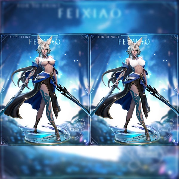 Honkai Star Rail: Feixiao Collector Package