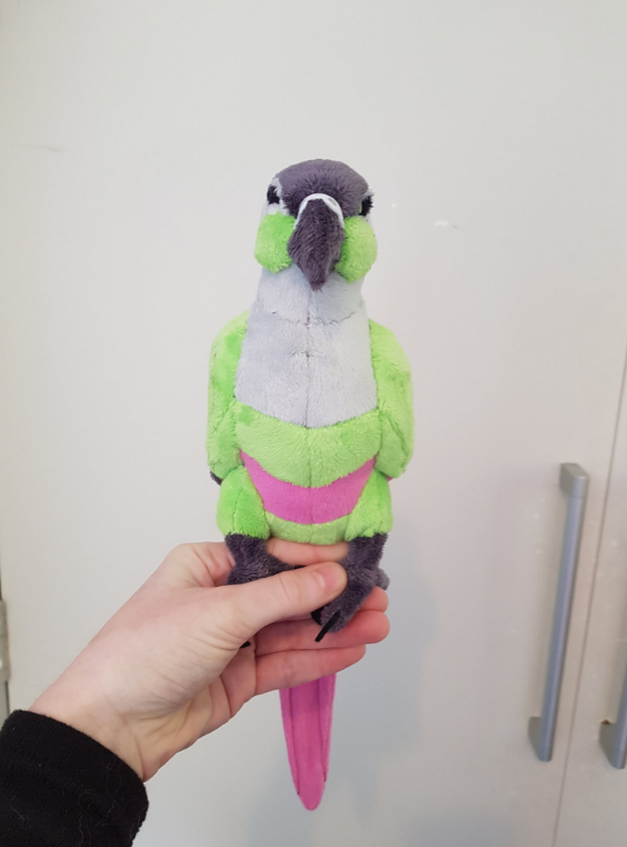 conure plush