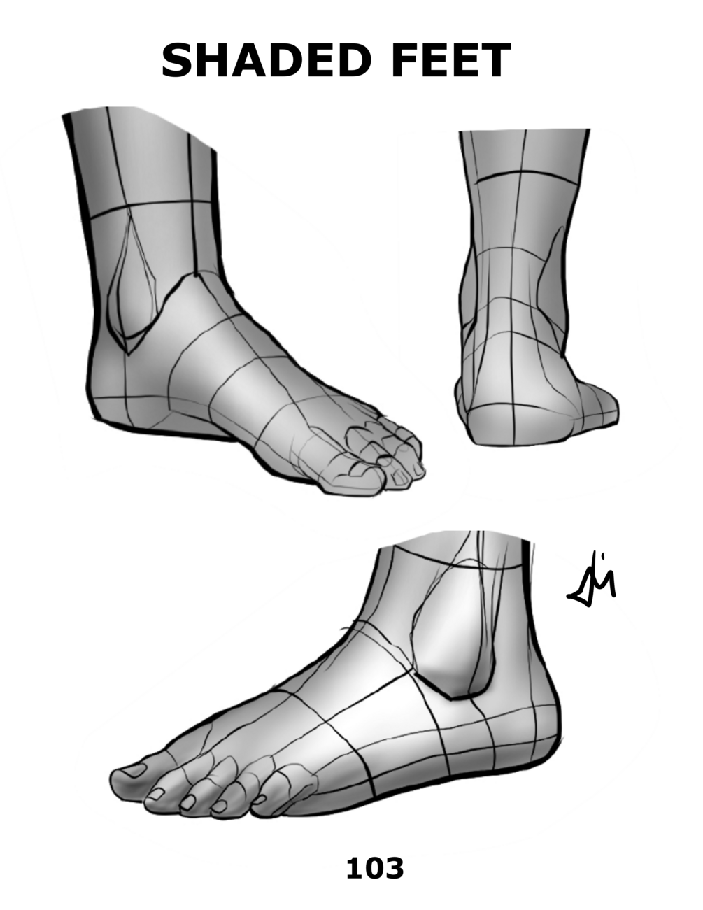 foot reference