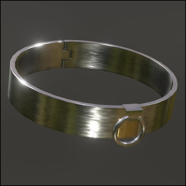 Brushed Steel Collar