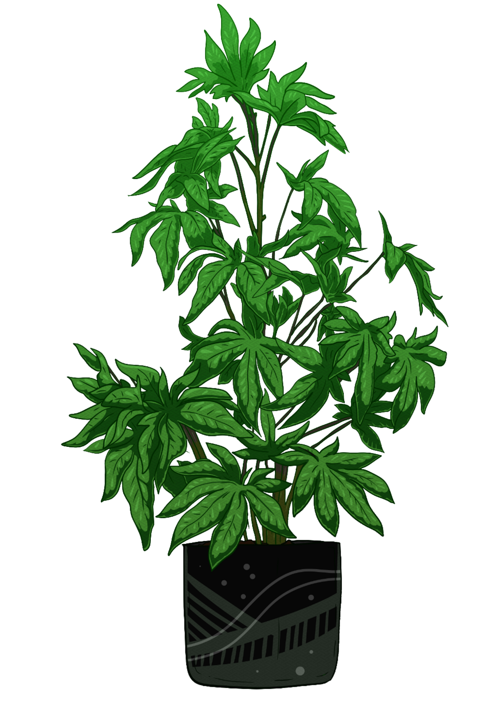 tall-leafy-pot-plant-design-element