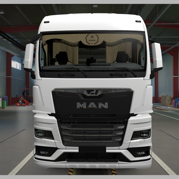 Lux Curtains for MAN TGX 2020 by Глеб Гончаренко