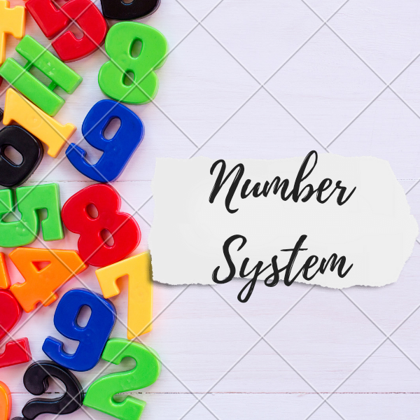Number System