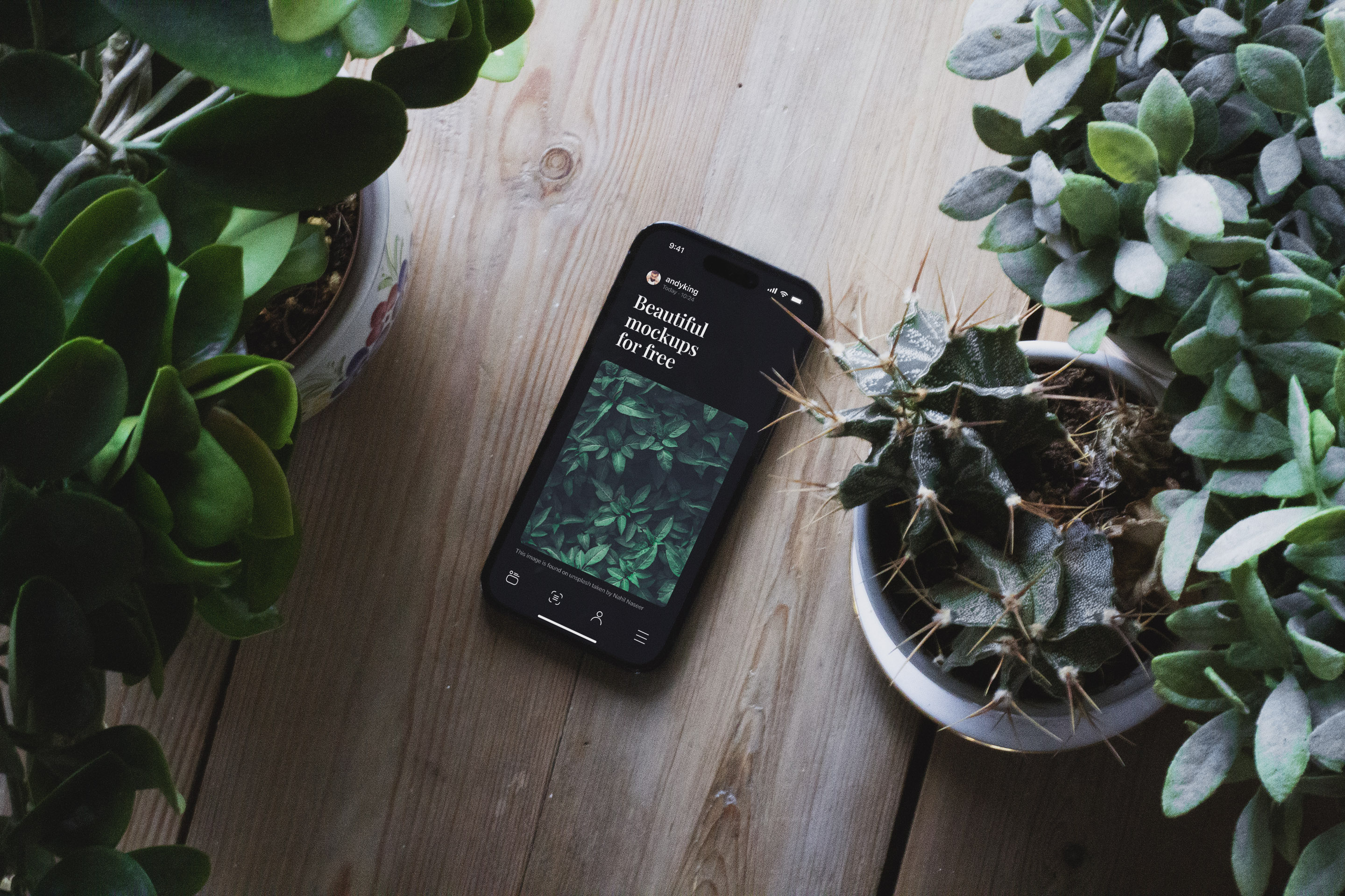 Free Plant iPhone 14 Pro Mockup