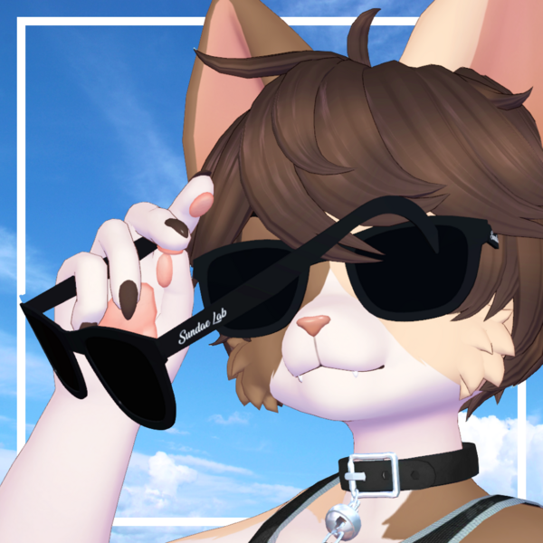 Infinite Sunglasses