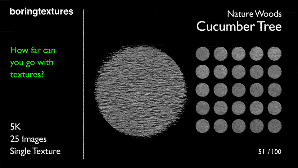 Nature Woods: Cucumber Tree
