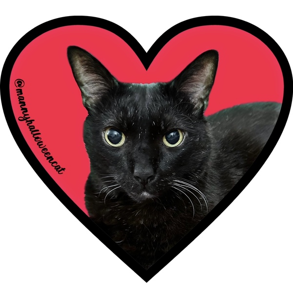 Manny heart sticker